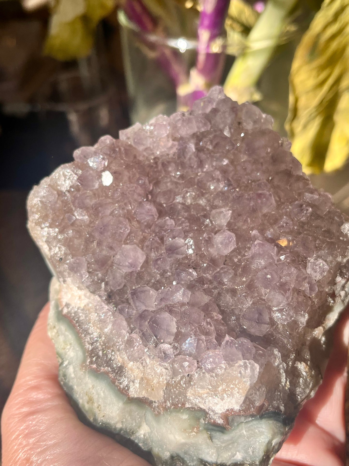 Amethyst Cluster